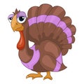 Cartoon Character Turkey