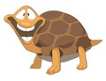 Cartoon Character Turtle