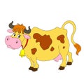 Cartoon characters funny cow. A cow with a bell. Royalty Free Stock Photo