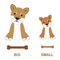 Cartoon characters of Shiba dogs. Children`s card for the study of opposites and antonyms, foreign languages. Isolated cute dog o Royalty Free Stock Photo