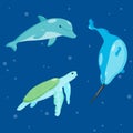 Cartoon characters turtle, dolphin and narwhal swim in sea on blue background, vector isolated. Royalty Free Stock Photo
