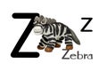Cartoon characters, Zebra isolated on white background Royalty Free Stock Photo