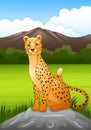 Cartoon cheetah sitting on a rock in African savanna