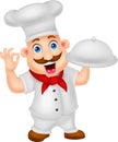 Cartoon Chef Character