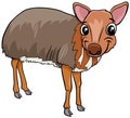 Cartoon chevrotain comic animal character