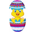 Cartoon chick comes out from an Easter egg Royalty Free Stock Photo