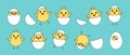 Cartoon chick and egg, Easter chicken vector icon, baby bird with shell, yellow little animal character set. Cute illustration Royalty Free Stock Photo