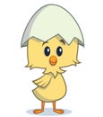 Cartoon chick standing with egg shell on his head