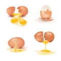 Cartoon chicken eggs set