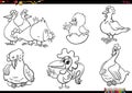 cartoon chickens farm animal characters set coloring page Royalty Free Stock Photo