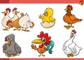 cartoon chickens farm birds comic characters set Royalty Free Stock Photo