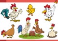 cartoon chickens farm birds comic characters set