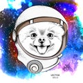 A cartoon chihuahua in an astronaut`s space suit. Character in space. Vector illustration