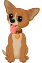 Cartoon chihuahua dog