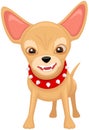 Cartoon Chihuahua in Red Collar