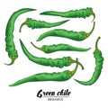 Cartoon chile pepper. Ripe green vegetable. Vegetarian delicious