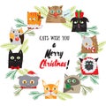 Cartoon Christmas background with cute cat characters. New Years post card design. Chistmas kitten holiday template. Vector