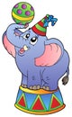 Cartoon circus elephant