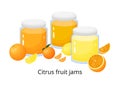 Cartoon citrus jams.