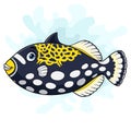 Cartoon clown trigger fish on white background Royalty Free Stock Photo