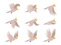 Cartoon cockatoo parrot fly animation frames sequence. Animated sprites loop of tropical bird flying in sky. Parrot wing Royalty Free Stock Photo