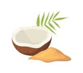 Cartoon coconut sugar. Food sweetening, gourmet nutrition, palm leaf, vector illustration