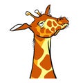 Cartoon Cold Giraffe Emotion. Zoo