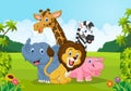 Cartoon collection animal africa