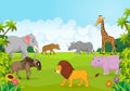 Cartoon Collection animal africa in the jungle