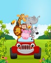 Cartoon collection animal vacation with red car