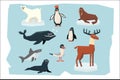 Cartoon collection of different Arctic and Antarctic animals. Polar bear, penguin, albatross, reindeer, seal, walrus