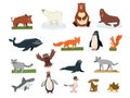 Cartoon collection of different Arctic and Antarctic animals. Polar bear, penguin, albatross, reindeer, seal, walrus