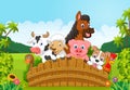 Cartoon Collection farm animals in the forest Royalty Free Stock Photo