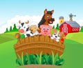 Cartoon Collection farm animals