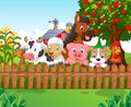 Cartoon Collection farm animals Royalty Free Stock Photo