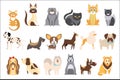 Cartoon collection of funny cats and dogs of different breeds. Domestic animals. Home pets. Human s best friends. Flat