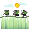 A cartoon colony of black ants carrying berries and walking across the branch Royalty Free Stock Photo