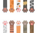 Cartoon Color Cats Paw Different Types Set. Vector