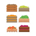 Cartoon Color Crates Fresh Fruits and Vegetables Sign Icon Set. Vector Royalty Free Stock Photo