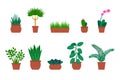 Cartoon Color Different Flowers and Plants in Pots Icon Set. Vector Royalty Free Stock Photo