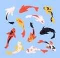 Cartoon Color Different Koi Fish Icons Set. Vector Royalty Free Stock Photo