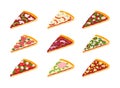 Cartoon Color Different Pizza Slices Icons Set. Vector