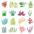 Cartoon Color Different Seaweed Icon Set. Vector Royalty Free Stock Photo