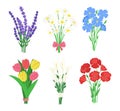 Cartoon Color Fresh Flowers Bouquets Set. Vector