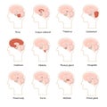 Cartoon Color Human Brain Components Icons Set. Vector Royalty Free Stock Photo