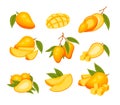 Cartoon Color Mango with Leaves and Slices Icon Set. Vector Royalty Free Stock Photo
