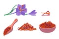 Cartoon Color Saffron Flower and Spice Set. Vector Royalty Free Stock Photo