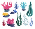 Cartoon Color Sea Bottom Plants Set. Vector Royalty Free Stock Photo