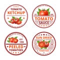 Cartoon Color Tomato Ketchup Sauce Label Badge Sign Set Concept Flat Design Style. Vector