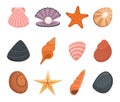 Cartoon Color Various Shells Icon Set. Vector Royalty Free Stock Photo